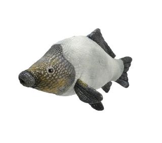 Obrázek z Kapr plyš 32cm 